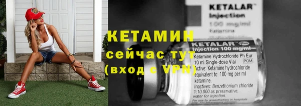 твердый Коряжма