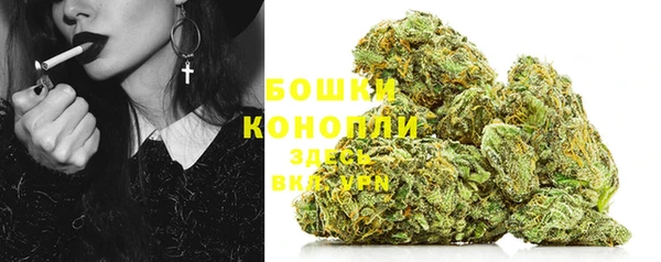 бошки Корсаков