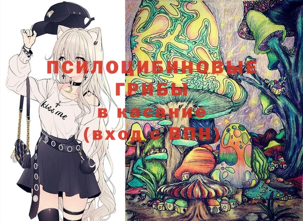 твердый Коряжма