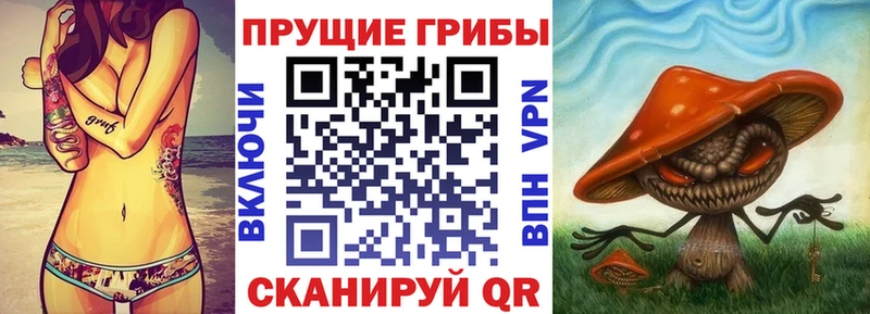 площадка телеграм  ОМГ ОМГ ССЫЛКА  Краснокаменск  Псилоцибиновые грибы MAGIC MUSHROOMS 