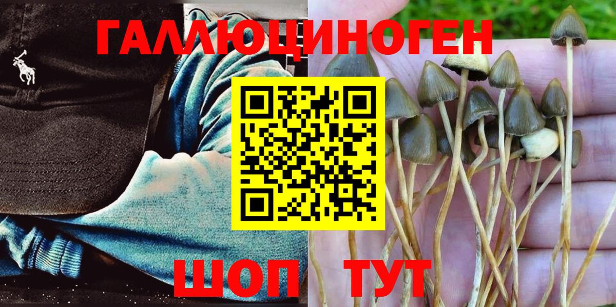 Галлюциногенные грибы Cubensis  Вход с VPN  Краснокаменск 