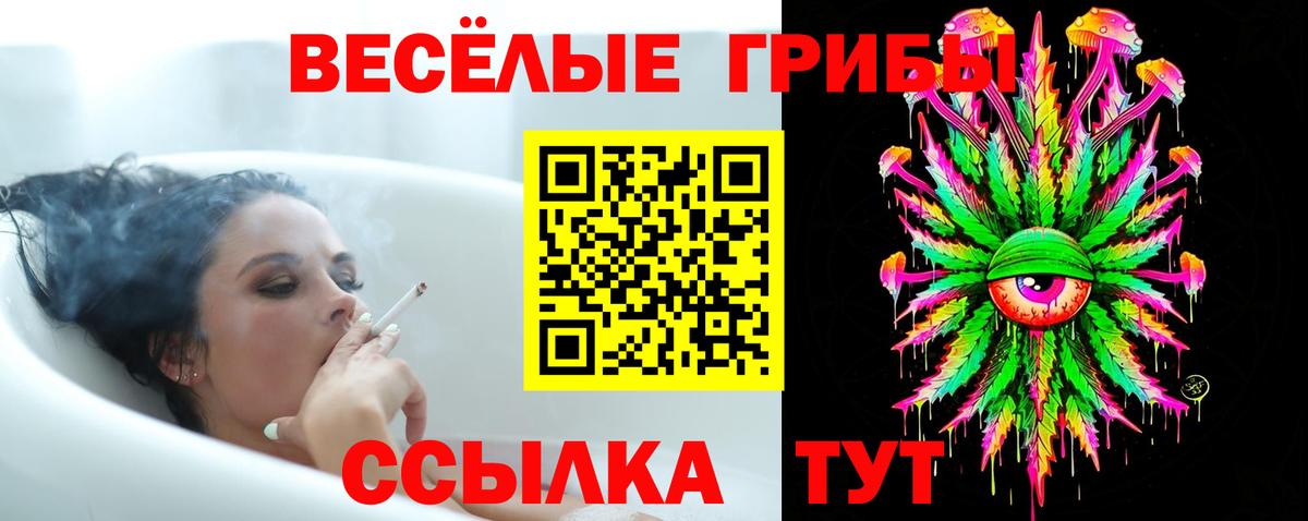 Галлюциногенные грибы Psilocybe Краснокаменск
