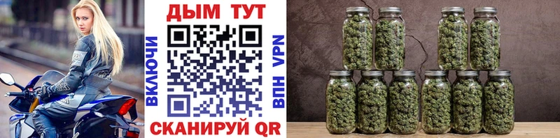 цена наркотик  МЕГА   Бошки Шишки OG Kush  Краснокаменск 